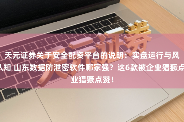 天元证券关于安全配资平台的说明：实盘运行与风险认知 山东数据防泄密软件哪家强？这6款被企业猖獗点赞！